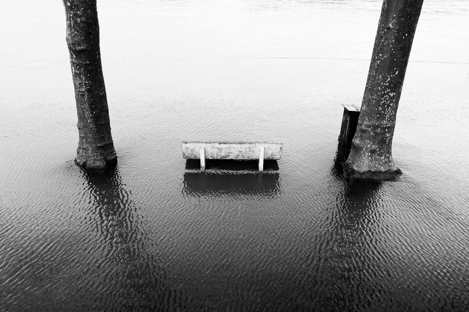 Sous l'eau #3