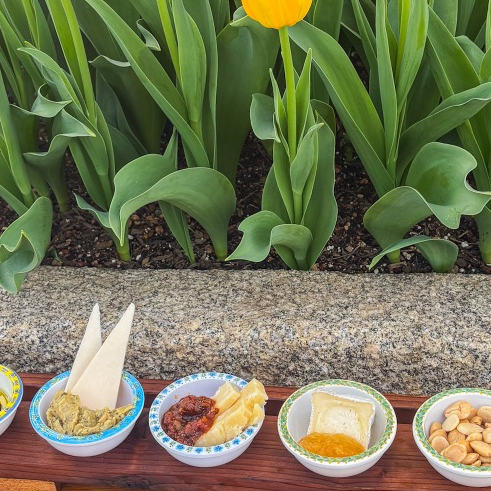 Spring Tapas Tasting