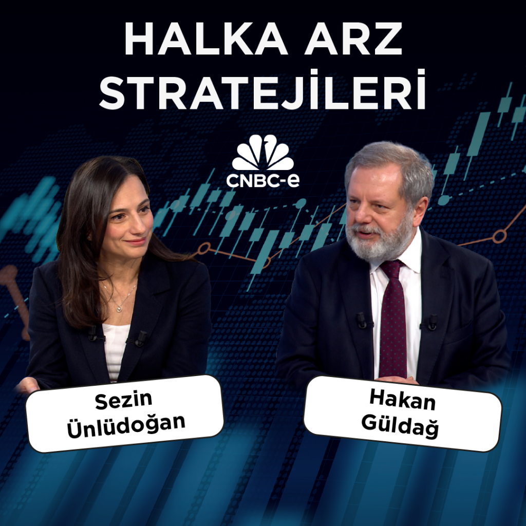 Halka arz stratejileri