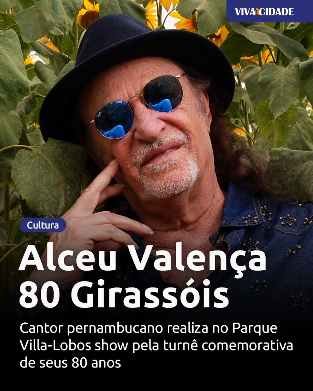 Alceu Valen&ccedil;a 80 Girass&oacute;is