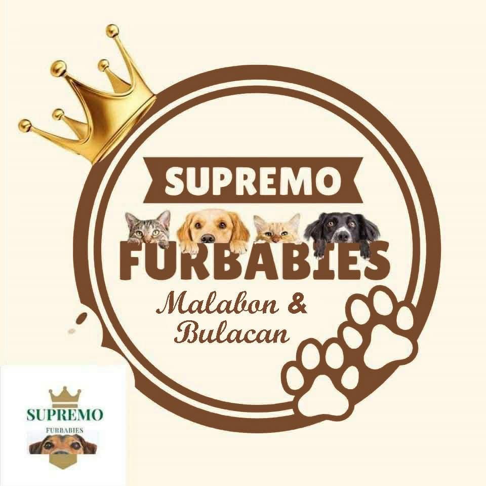 SUPREMO FURBABIES SHELTER
