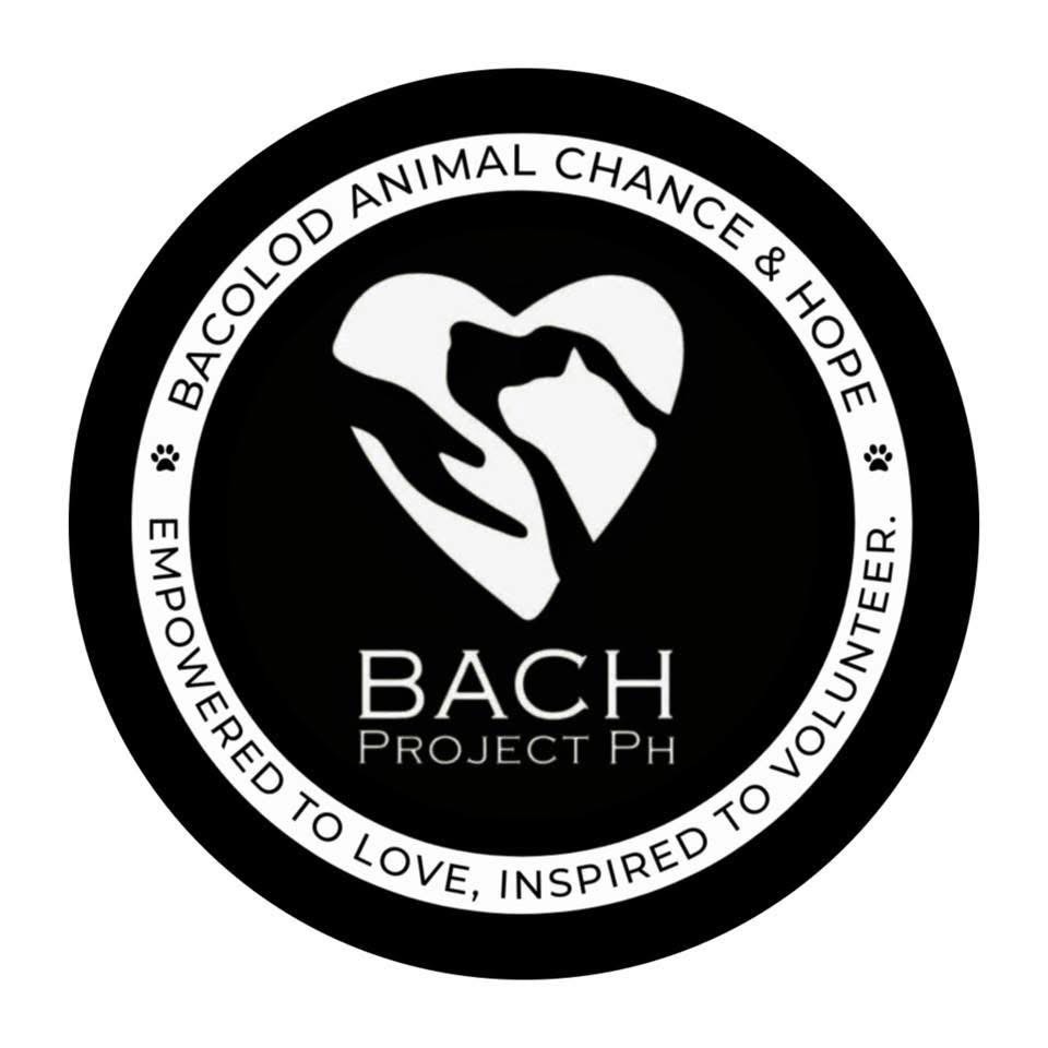 bach project ph