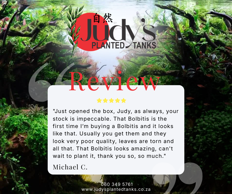 JPT - Michael C. - Review