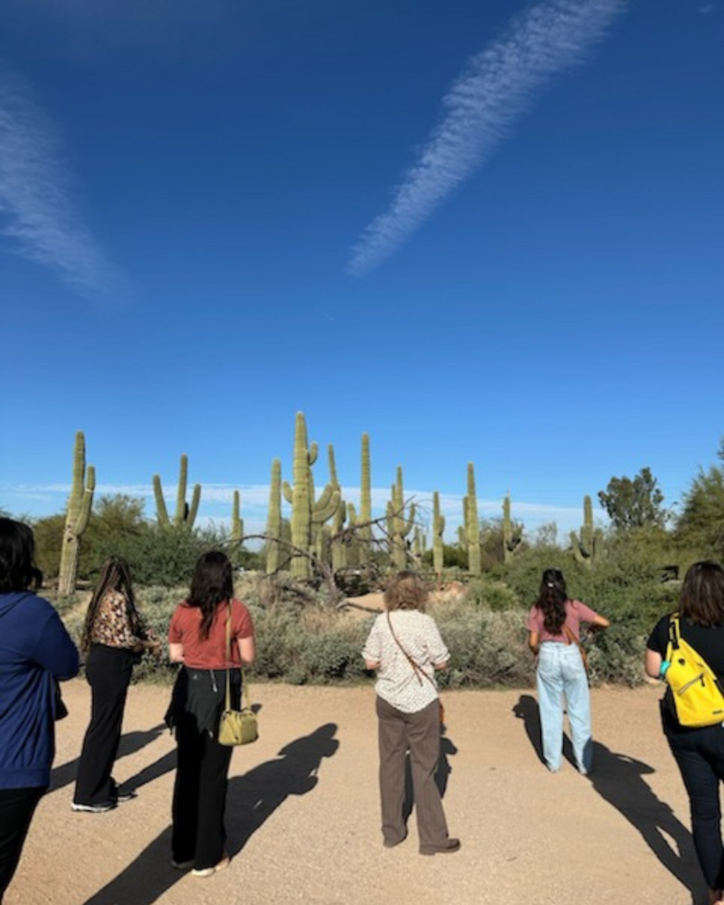 Riparian Discovery Walk