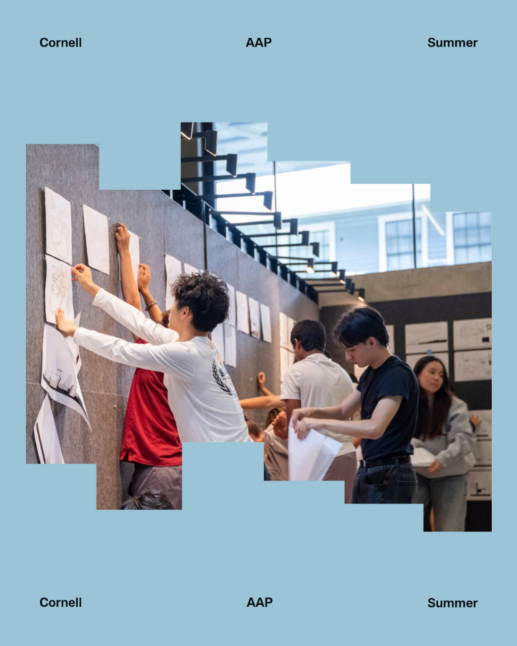 AAP Summer Programs