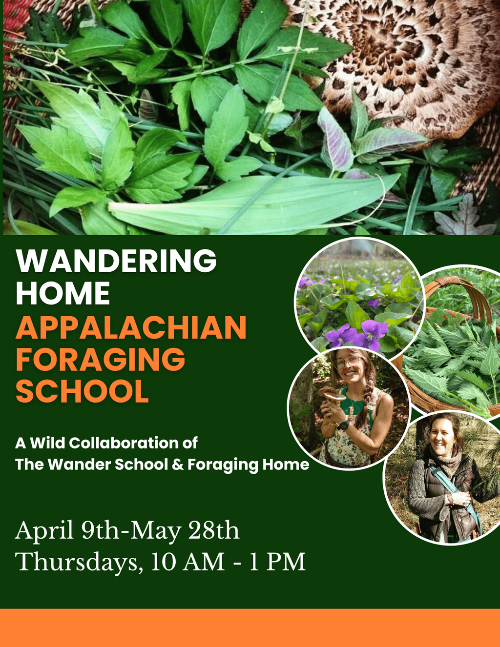 Wandering Home: Appalachian Foraging School (Spring Session) &mdash; The WANDER School