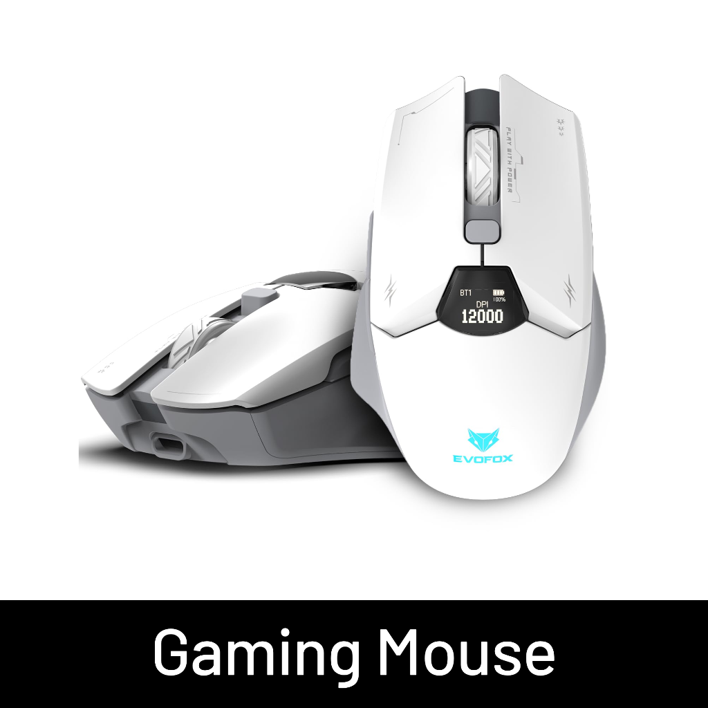 Mouse