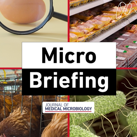 Biofilm-formation in UK Salmonella