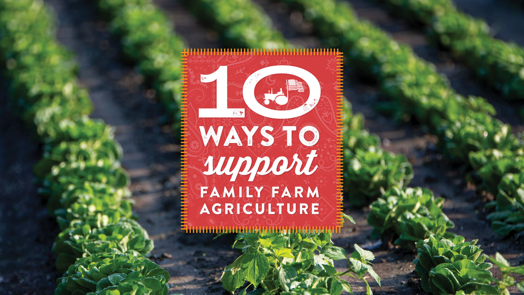10 Ways to Support Family Farm Agriculture &ndash; Farm Aid