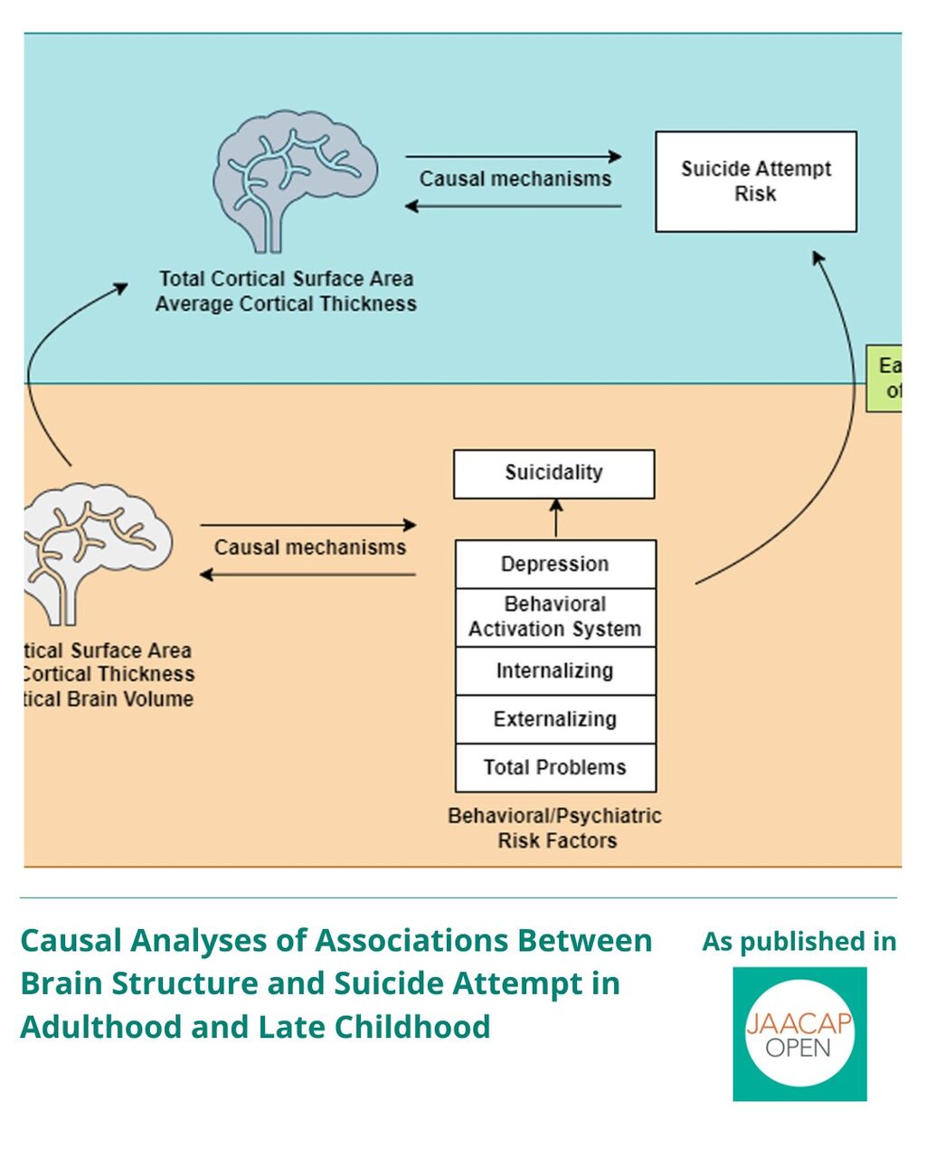 JO 0925 Causal Analyses of Associations Between Brain Structure and Suicide Attempt in Adulthood and Late Childhood