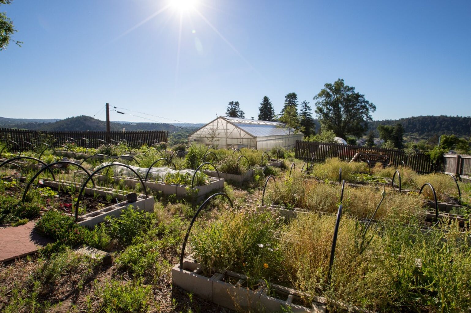 Volunteer at the UCCS Farm!