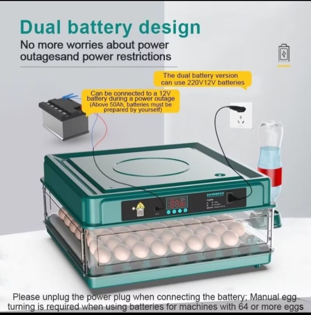 Dual Power - Egg Incubator