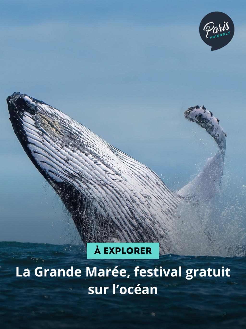 Au mus&eacute;e de la Marine, un week-end gratuit pour voir l&rsquo;oc&eacute;an autrement.