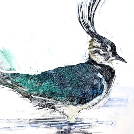 The Presence of Birds Exhibition