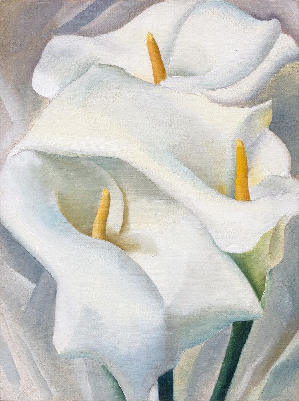 Georgia O&rsquo;Keeffe. Calla Lilies, 1924.