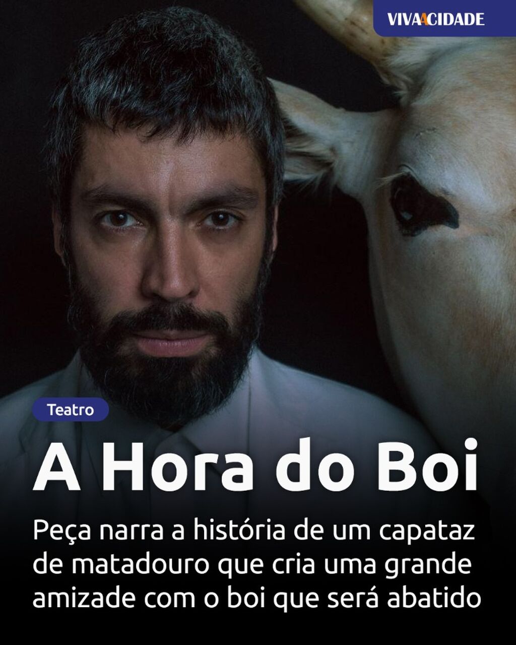 A Hora do Boi