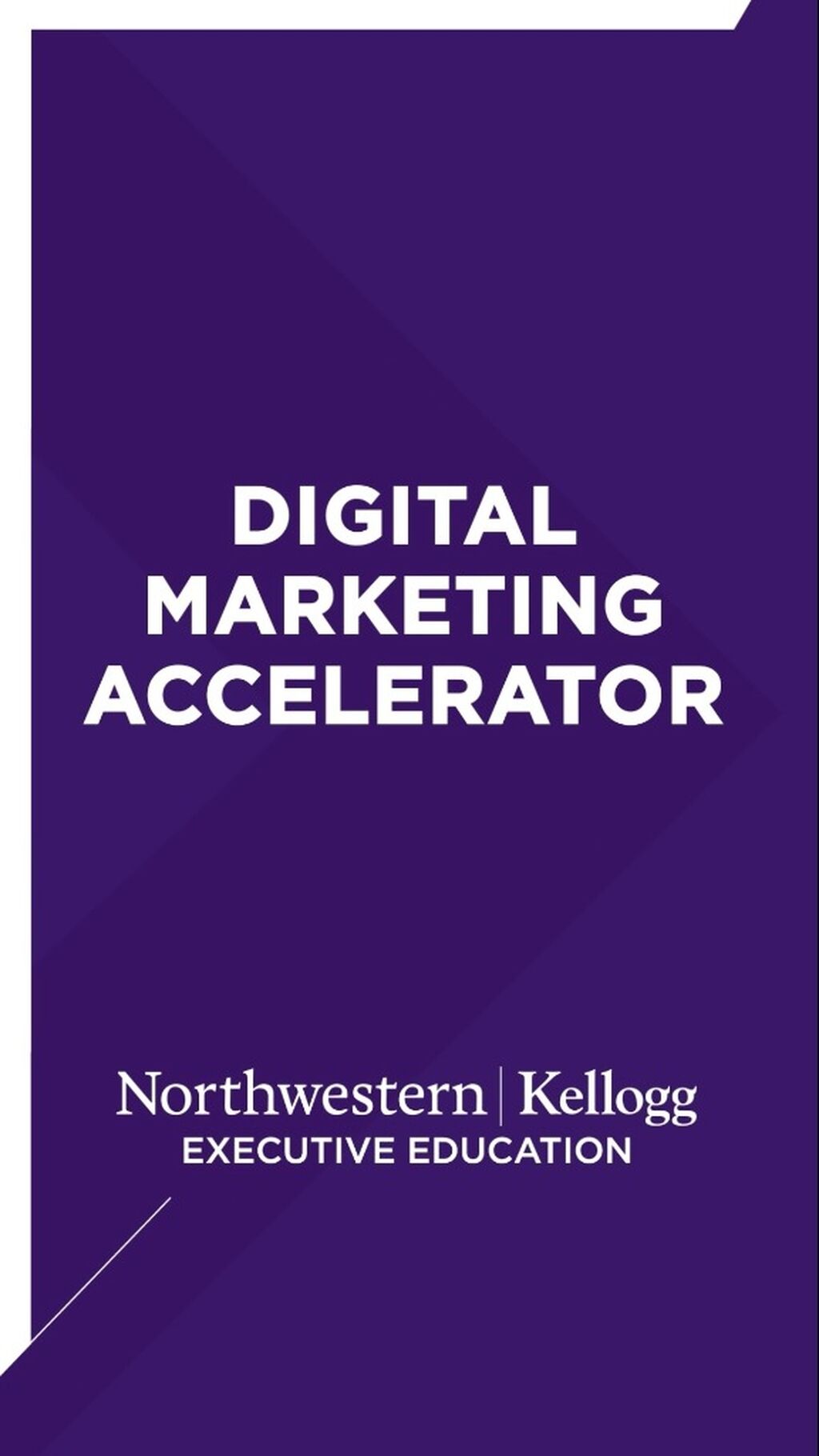 Digital Marketing Accelerator