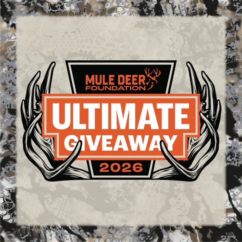Ultimate Giveaway 2026