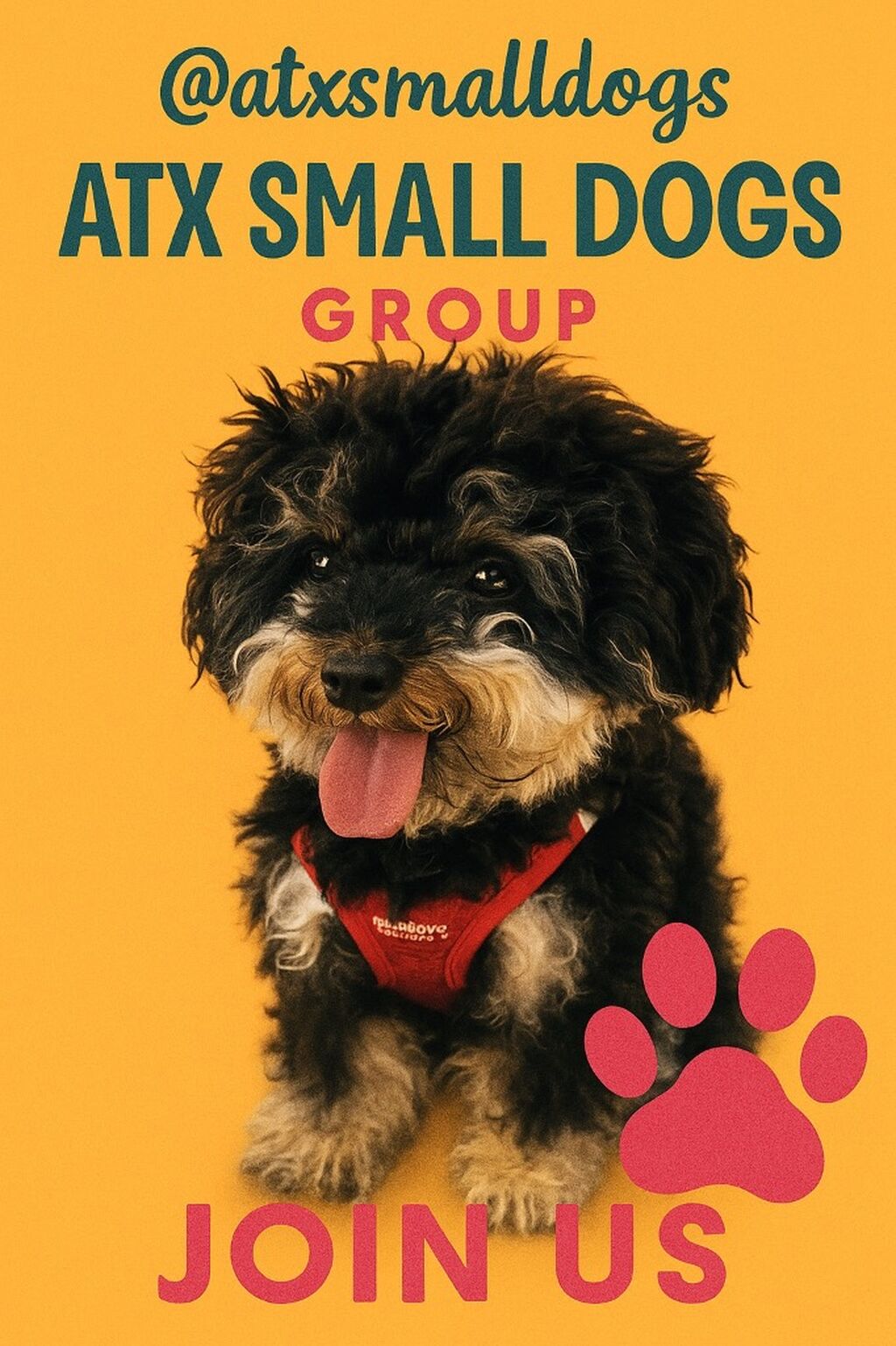 📍ATX Small Dogs RSVP- APP