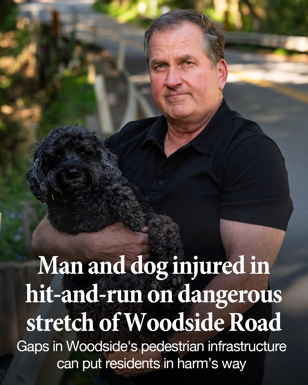 Woodside man and dog injured in hit-and-run on dangerous stretch of Woodside Road