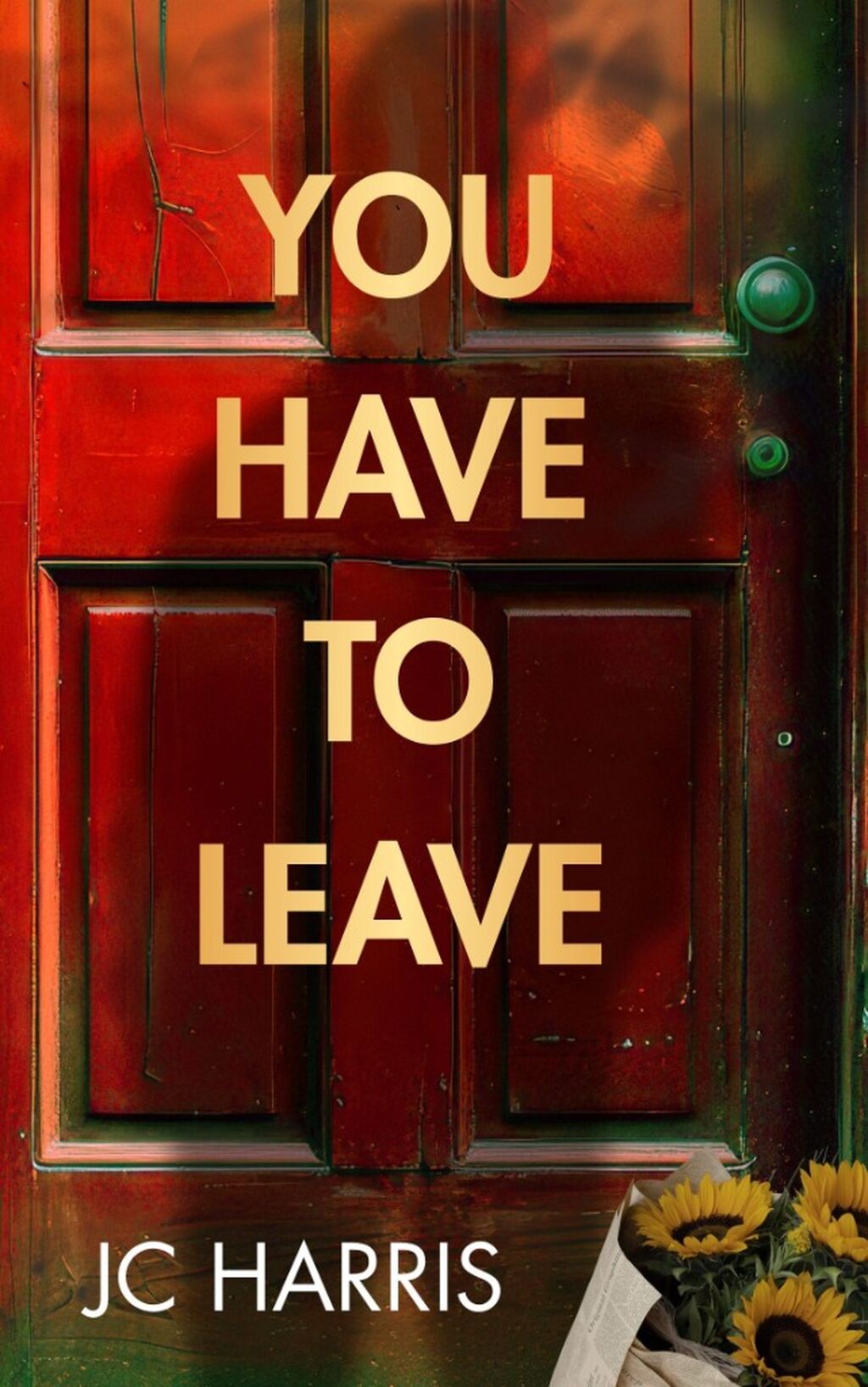 Paperback: You Have To Leave *New Adult Genre 18-25 years*