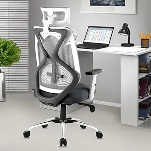 Ergonomic Office chair