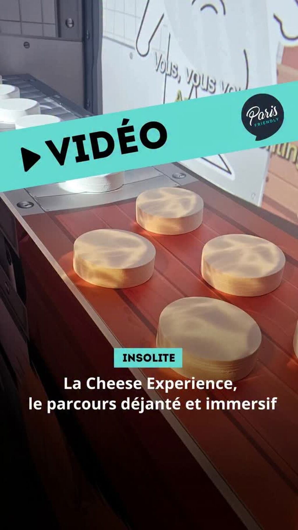 Cheese experience 