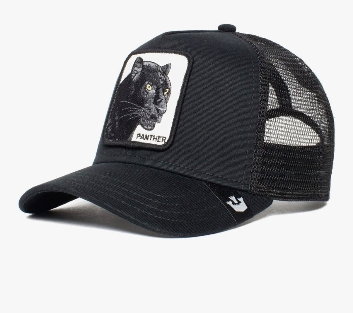 Panthers black hat 