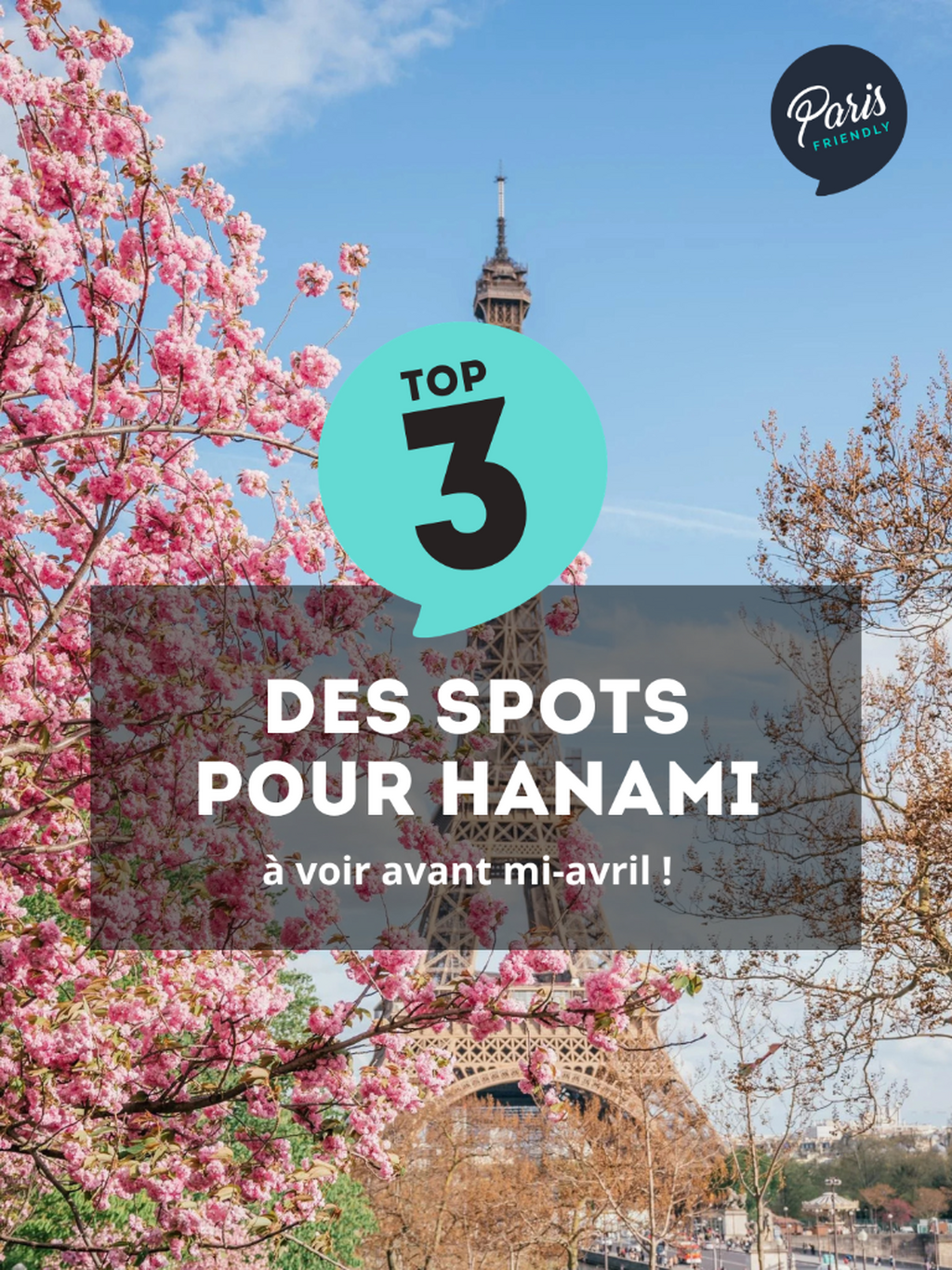 Hanami &agrave; Paris