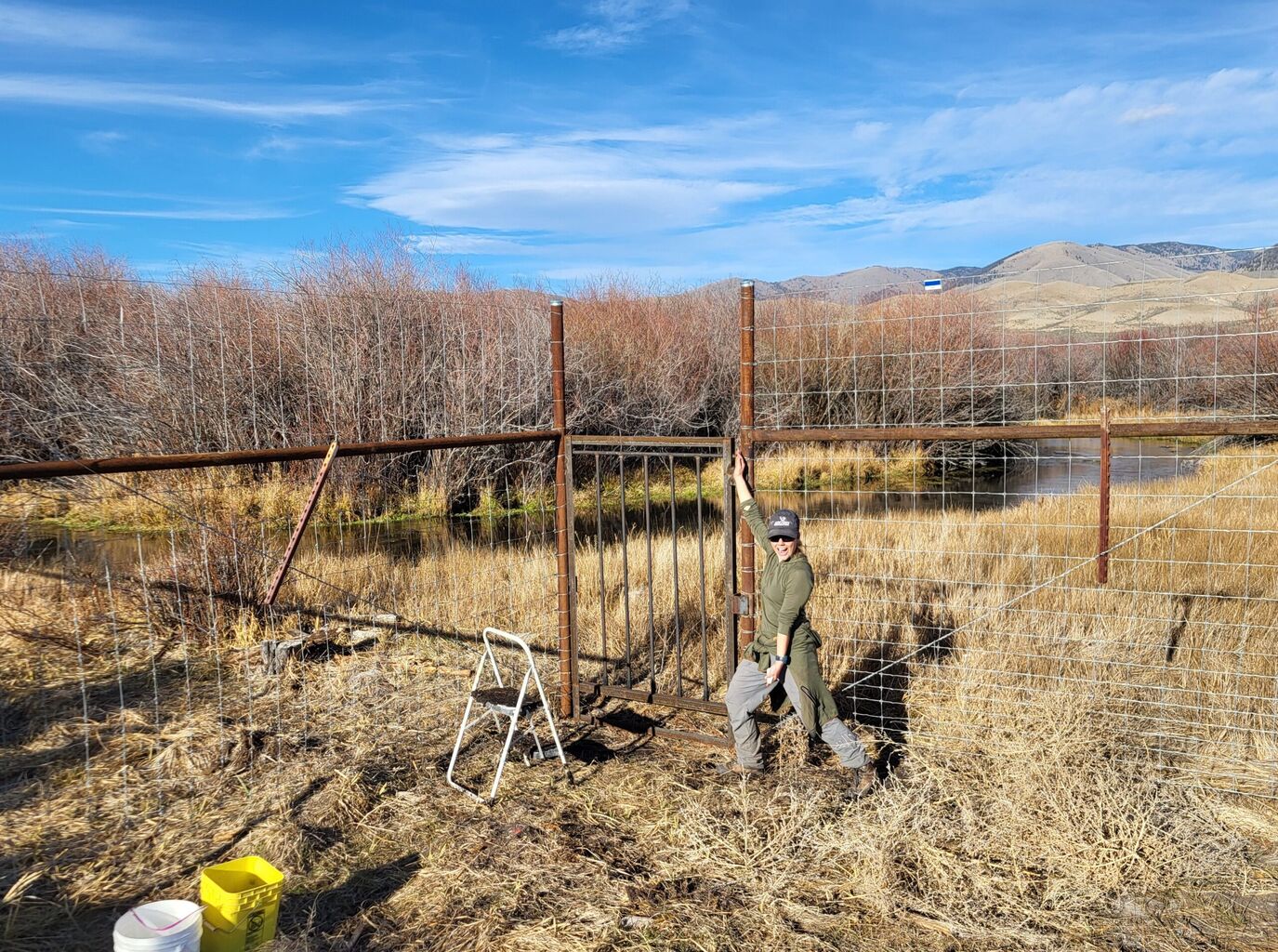 Wildlife Funnel Fencing Innovation in Central Idaho