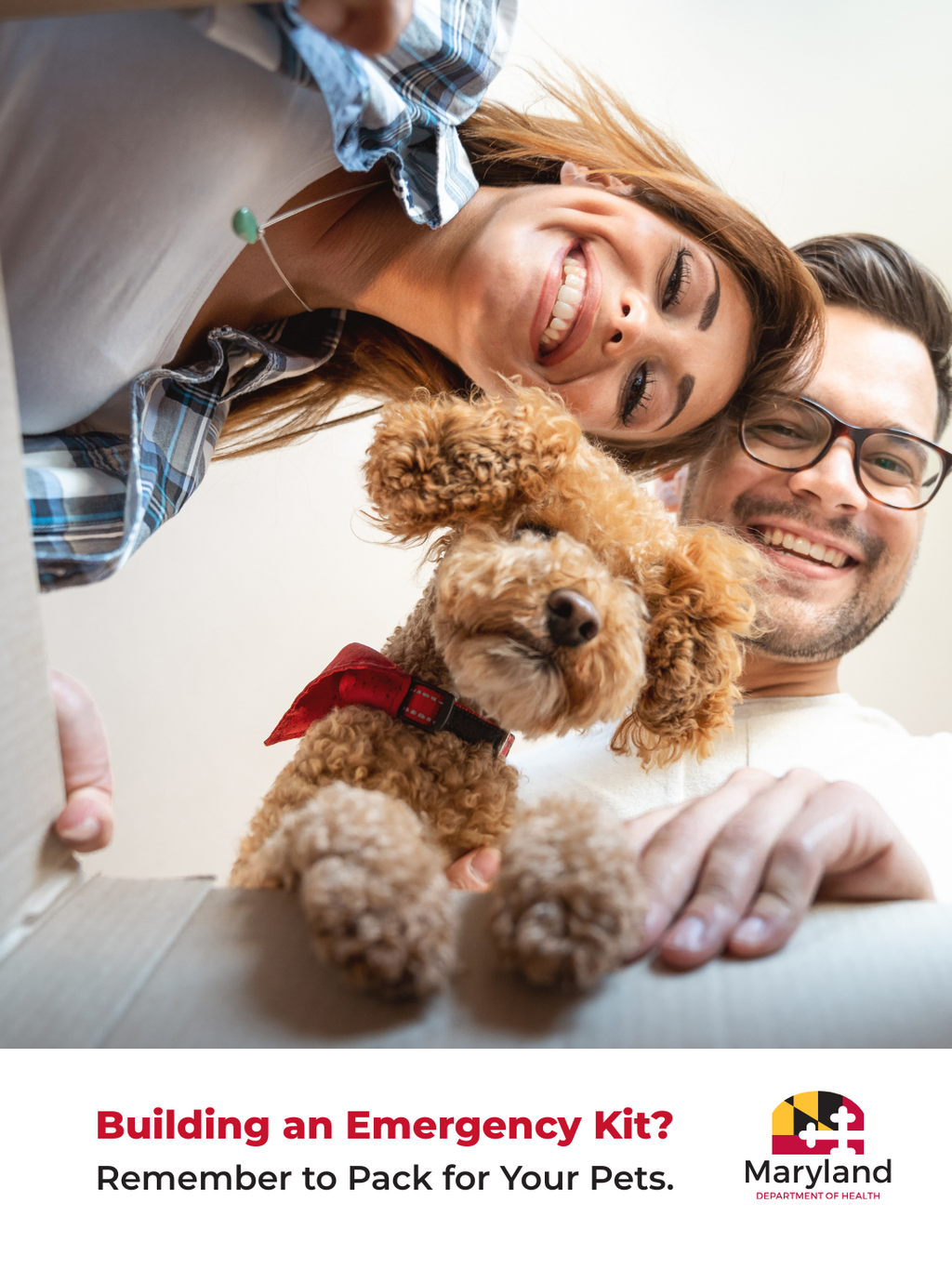 Building an emergency kit? Remember to pack for your pets. Access a list of items to prepare for emergencies.