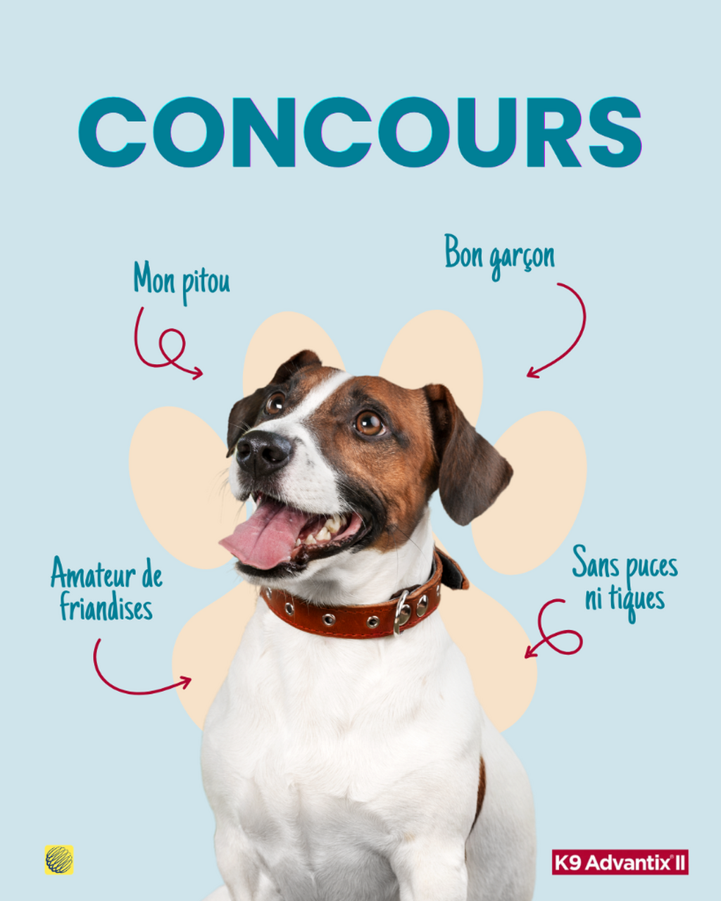 Concours Elanco : Pr&eacute;vention des tiques