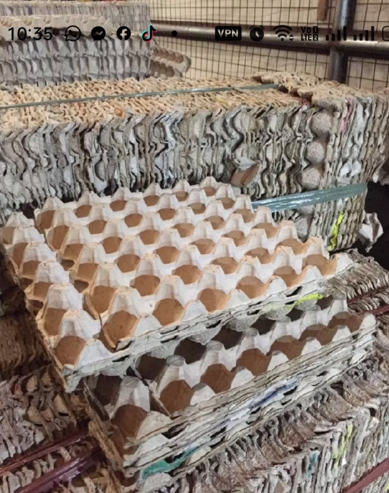 Egg Trays - Used