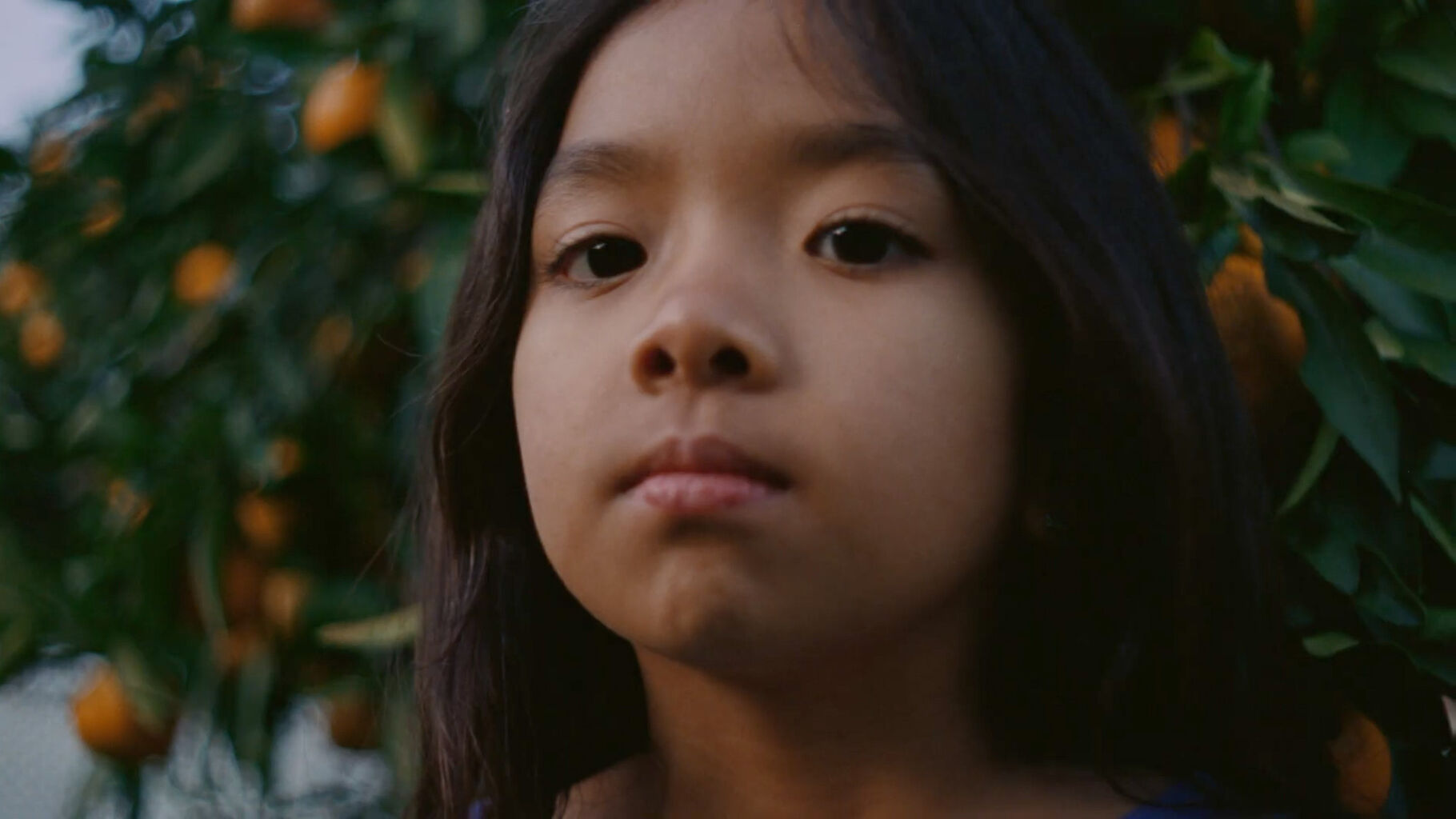 ACLU ad uses Springsteen&rsquo;s &lsquo;Born in the U.S.A.&rsquo; in birthright citizenship fight