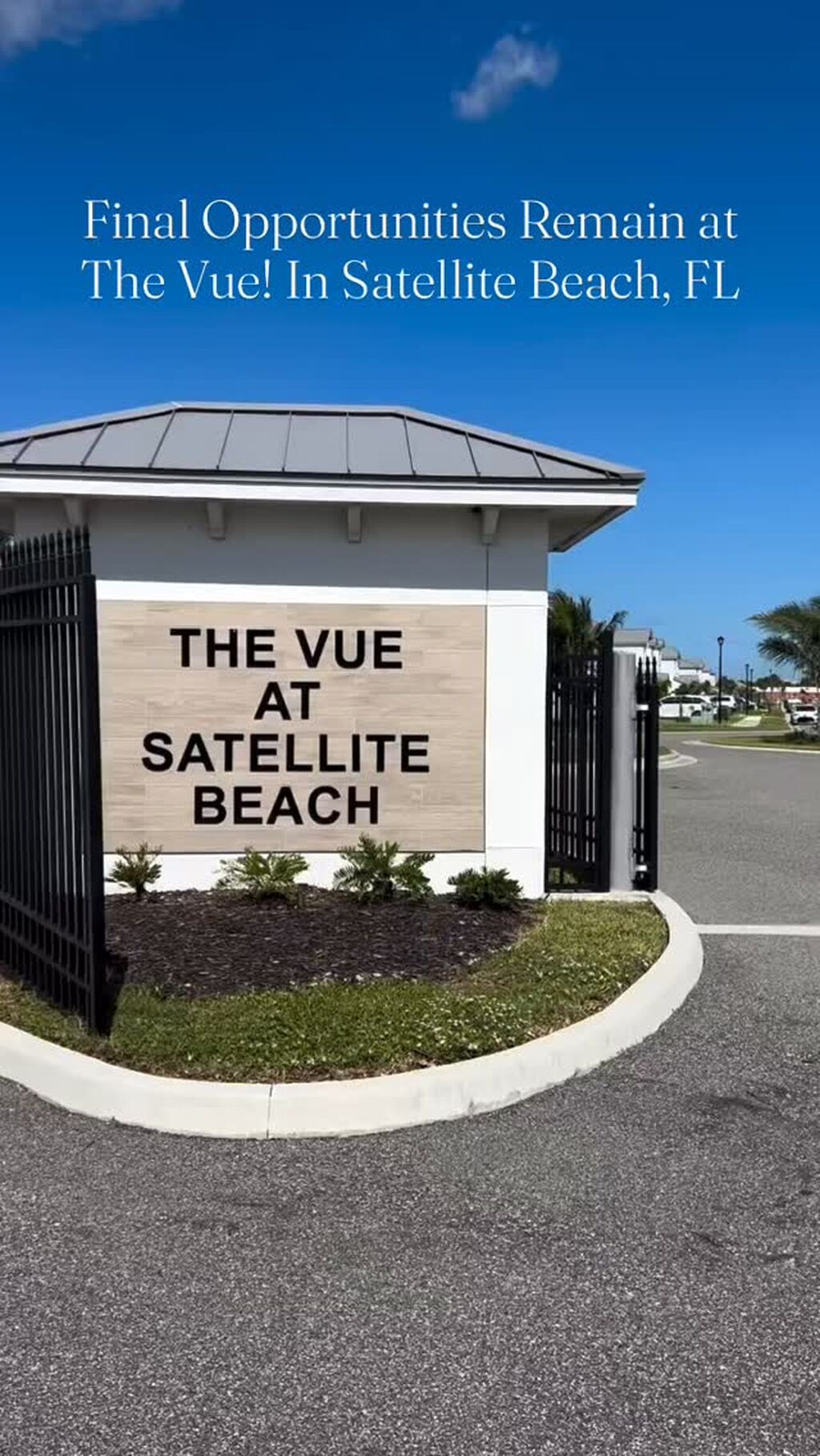The Vue: Final Opportunities