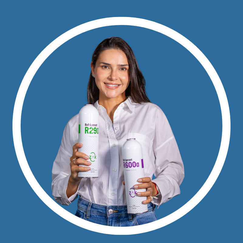 Ver&ocirc;nica Almeida - Diretora de vendas