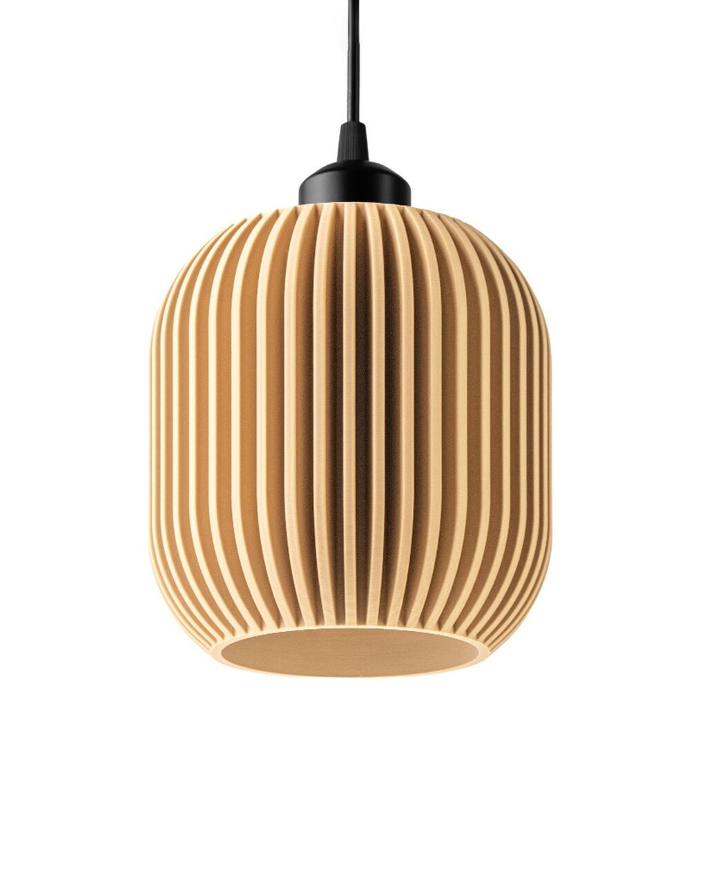 Pendant Lamp F029