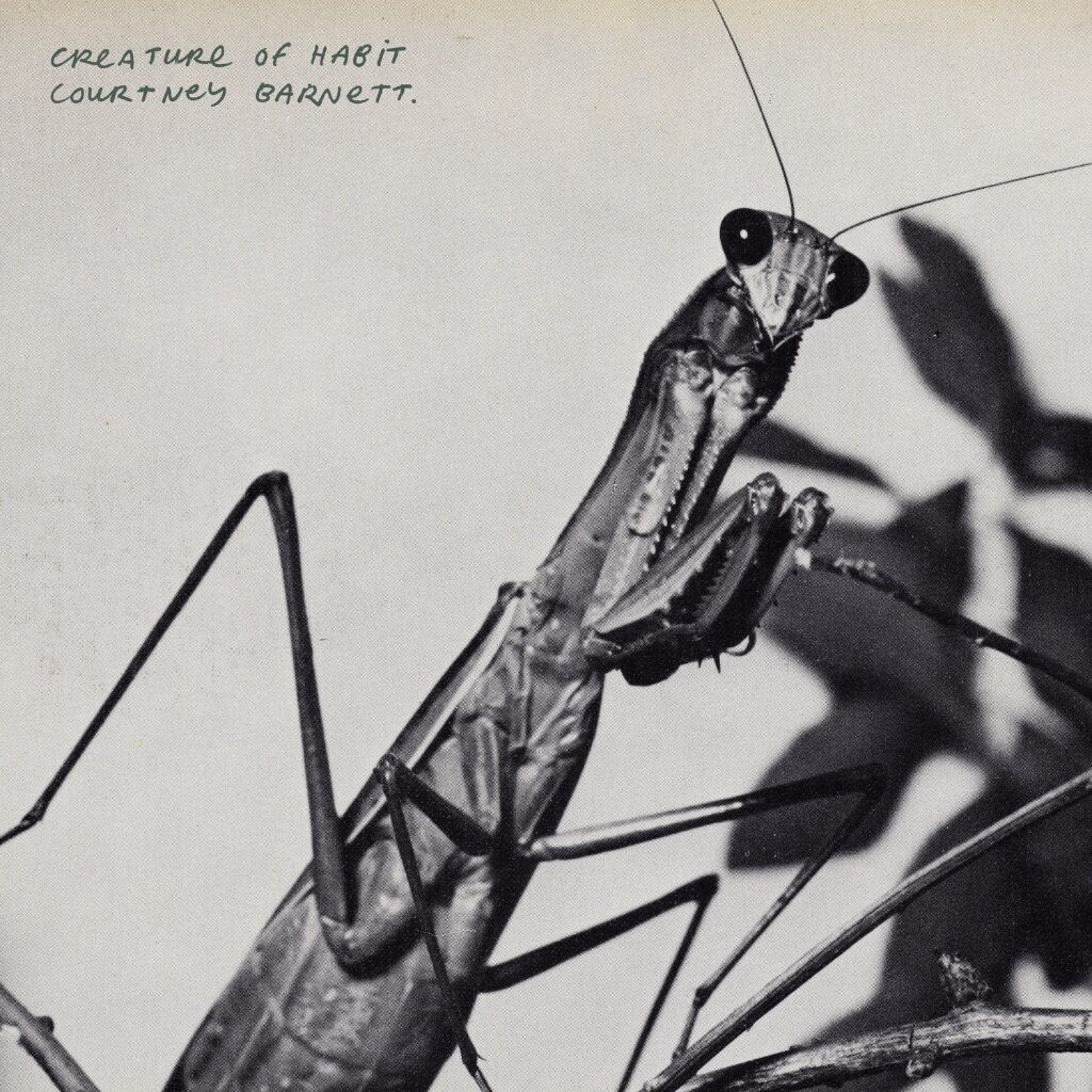 Courtney Barnett, 'Creature of Habit' Album Review