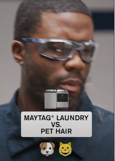 Torture Test - Pet Hair