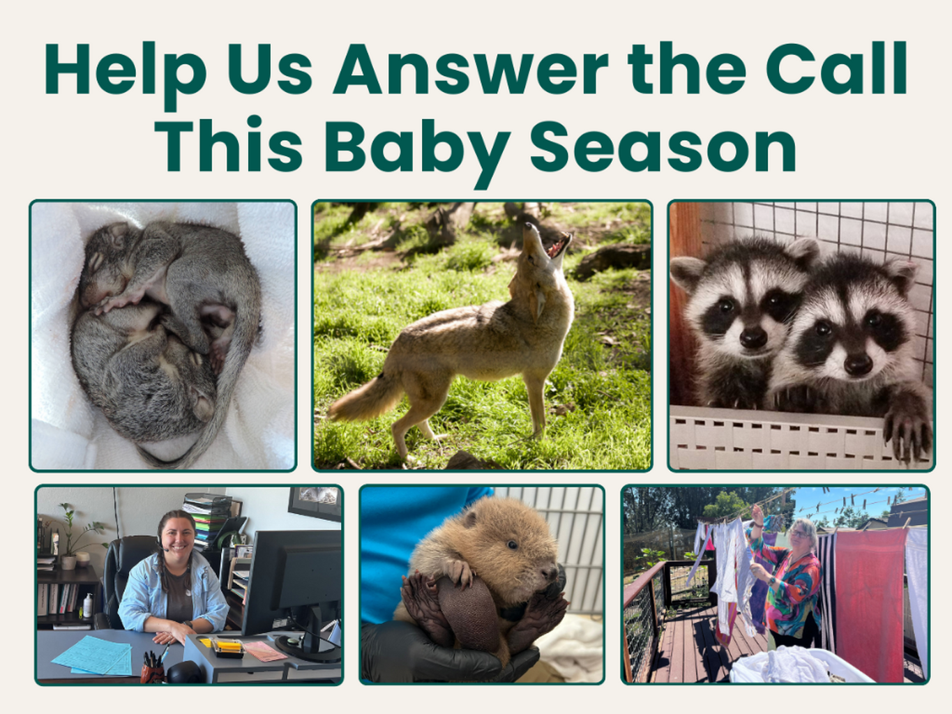 Help Answer the Call This Baby Season!
