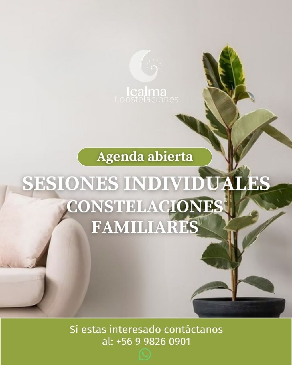 Sesiones Individuales de constelaciones familiares