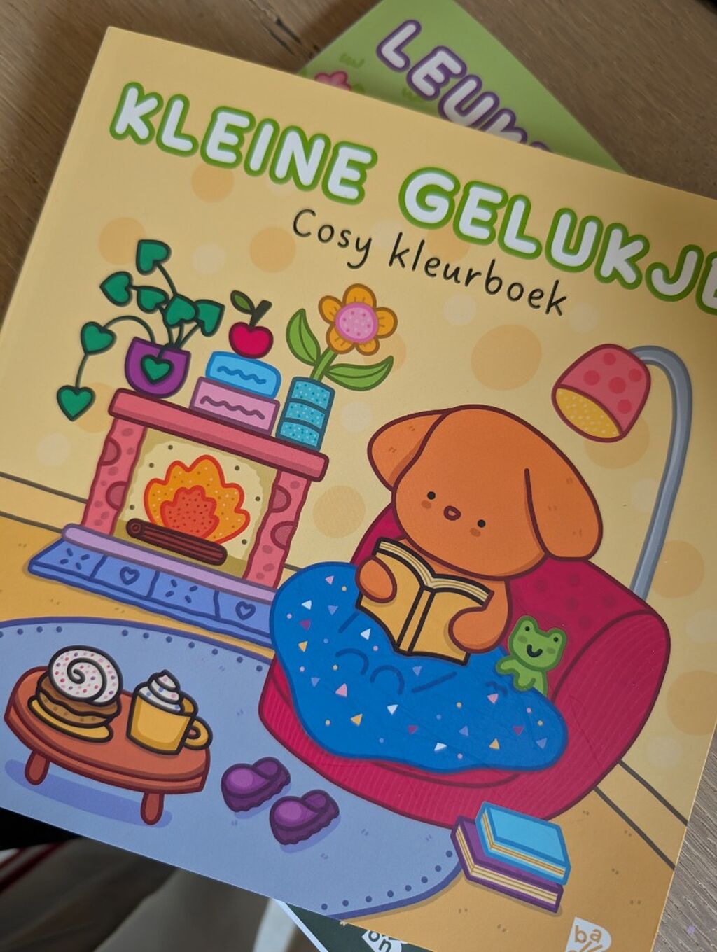 BUDGET! kleine gelukjes cozy boek met dik papier voor maar &euro;5,99