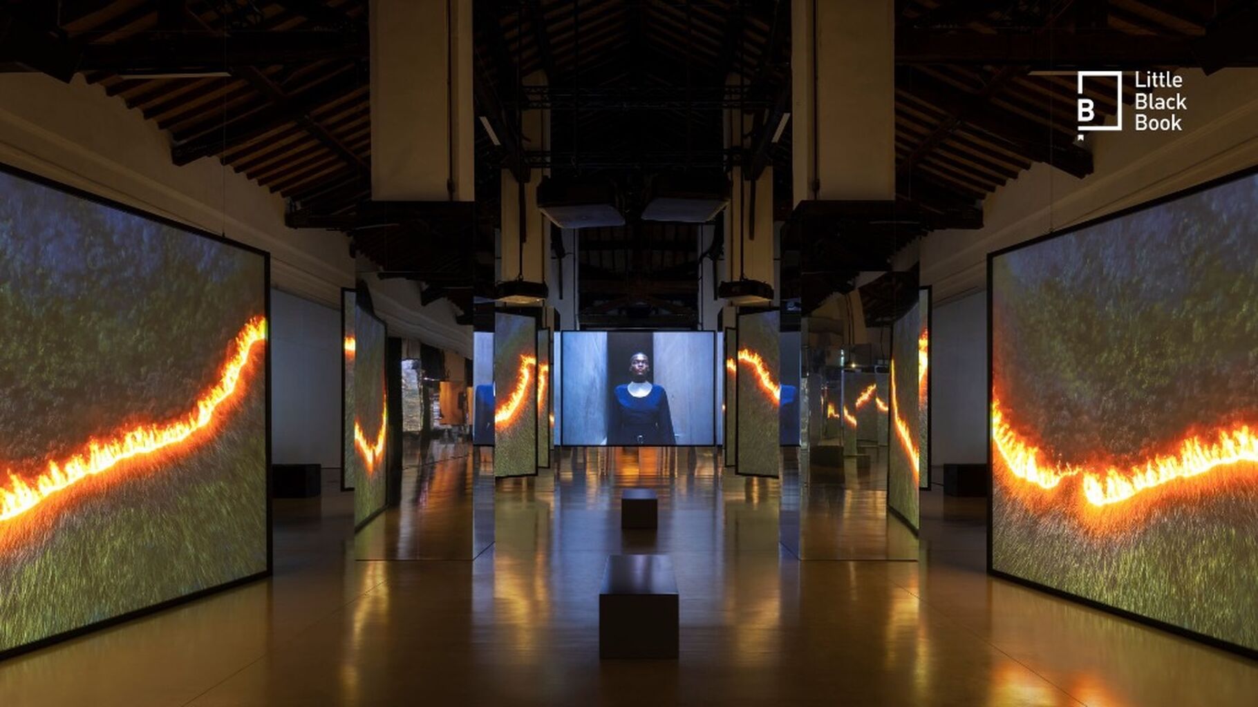 Company 3 London Collaborates with Sir Isaac Julien