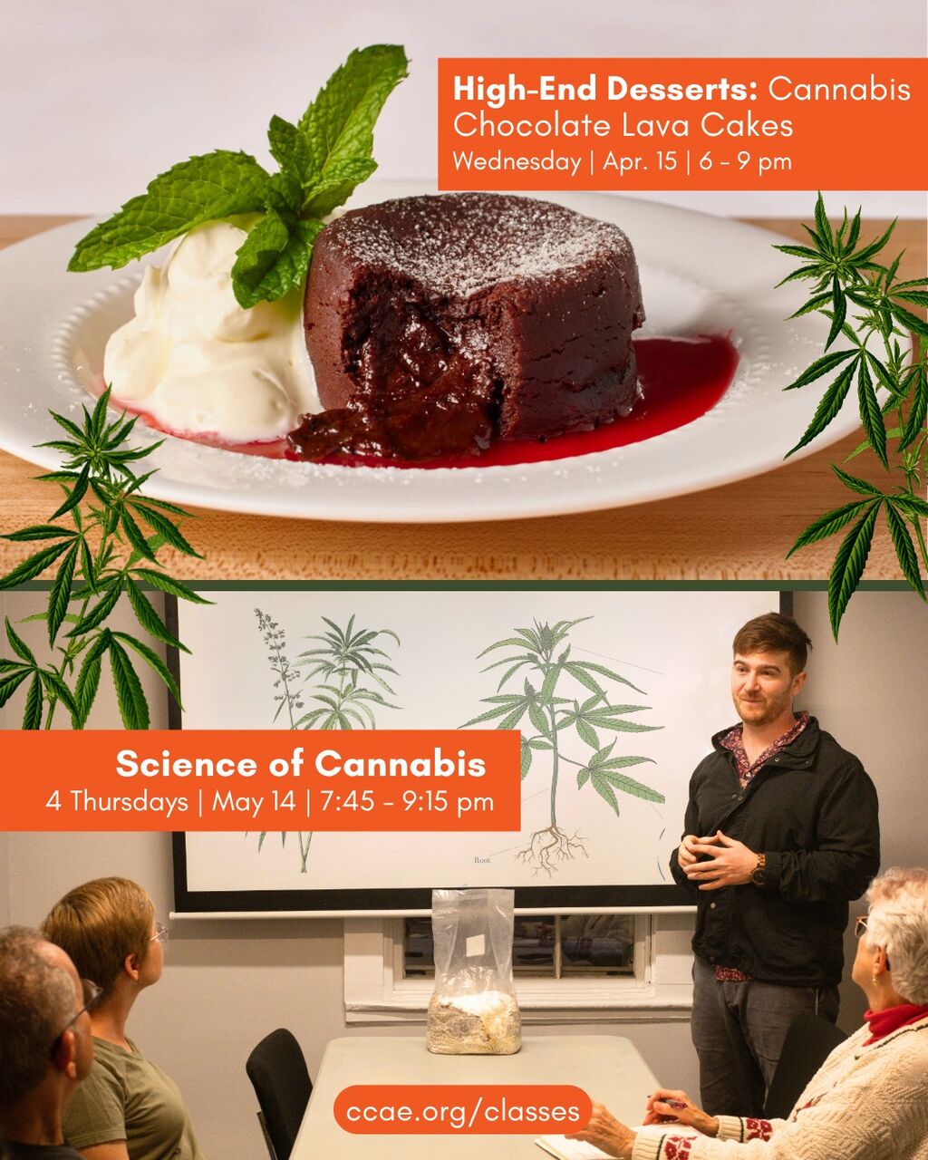 Celebrate 4/20 with Cannabis Cooking, Science, and History