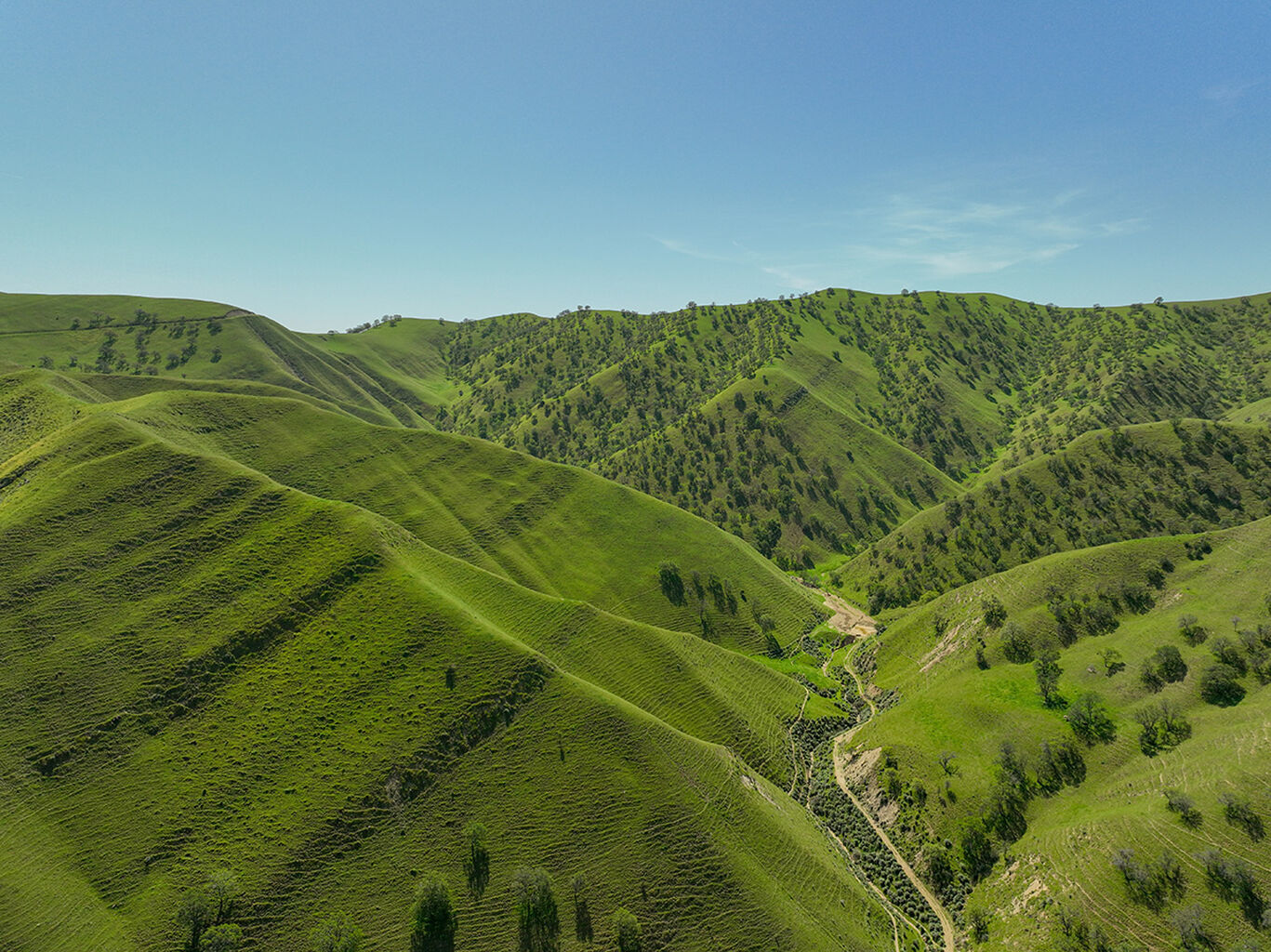 Save Mount Diablo Uncovers Major Flaws in Ridiculous Del Puerto Reservoir Environmental Review