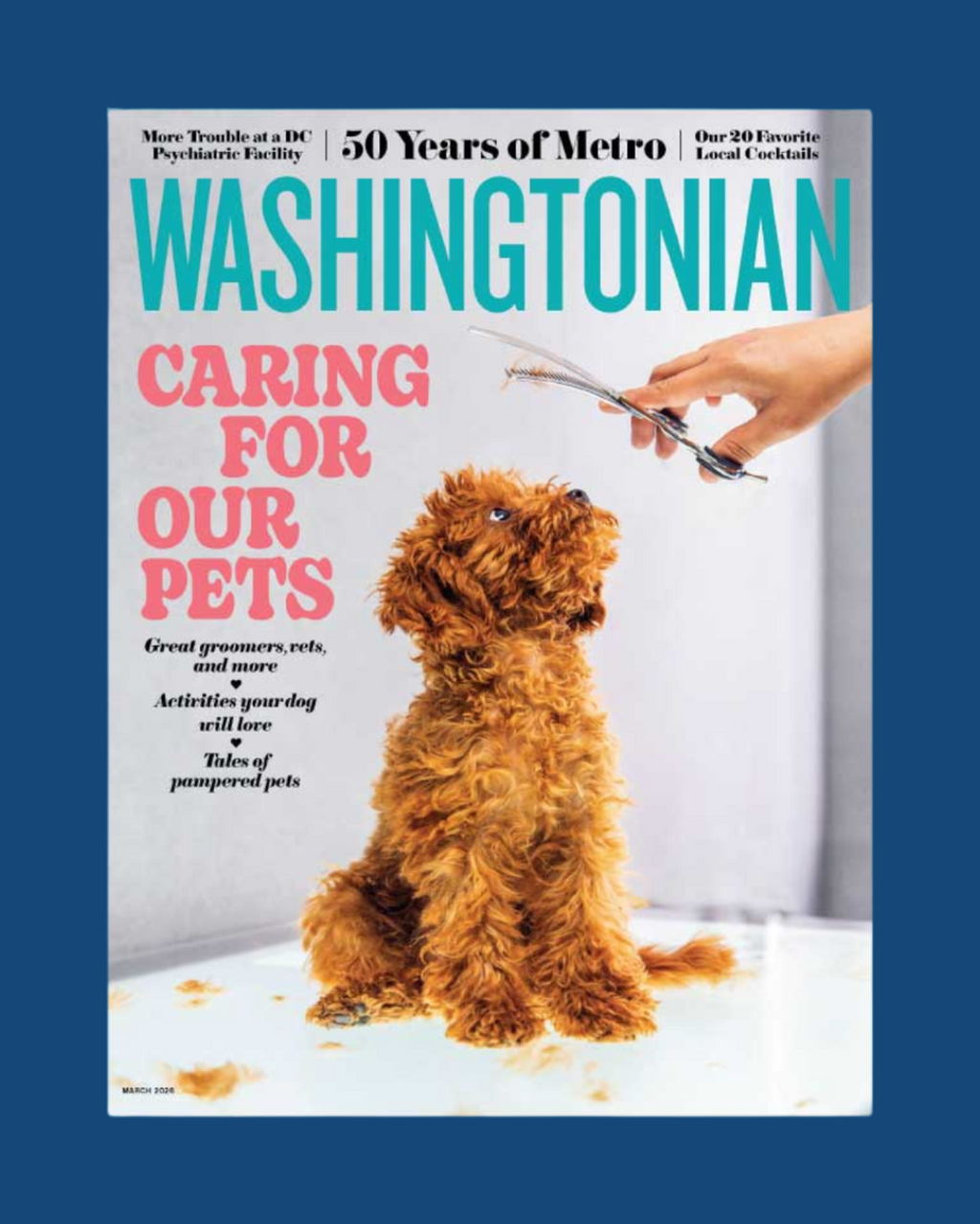 Pet Care - Washingtonian feat.