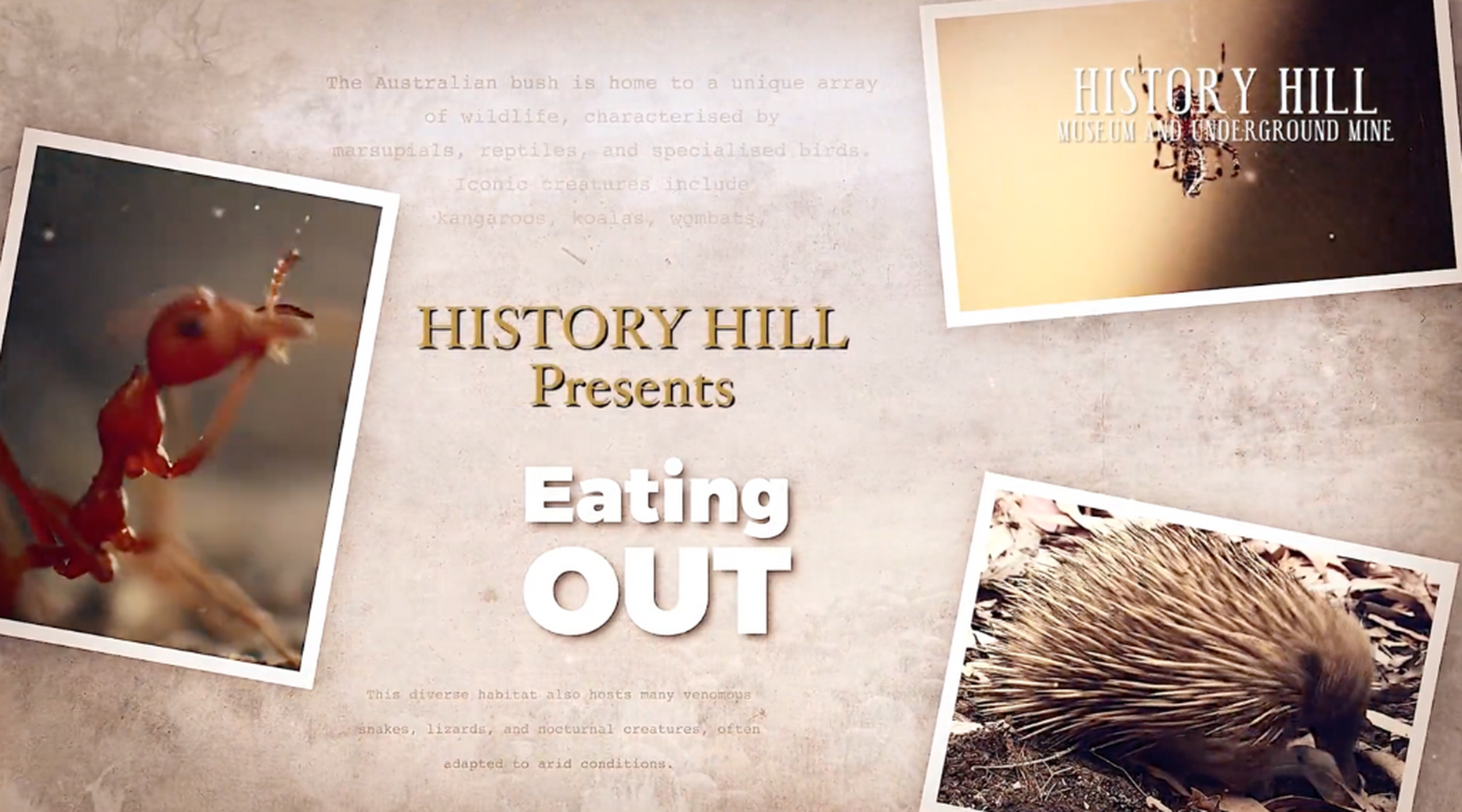 EATING OUT - DROUGHT AND SCRUB