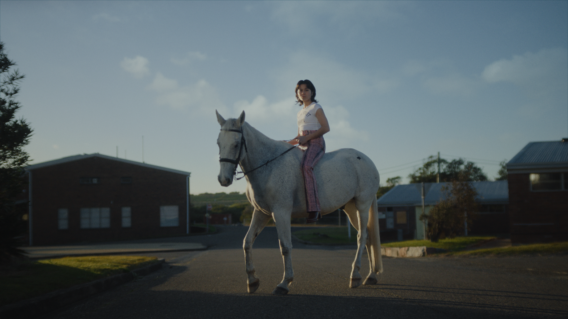A STABLE FOR HORSES | DAVIE PATERSON