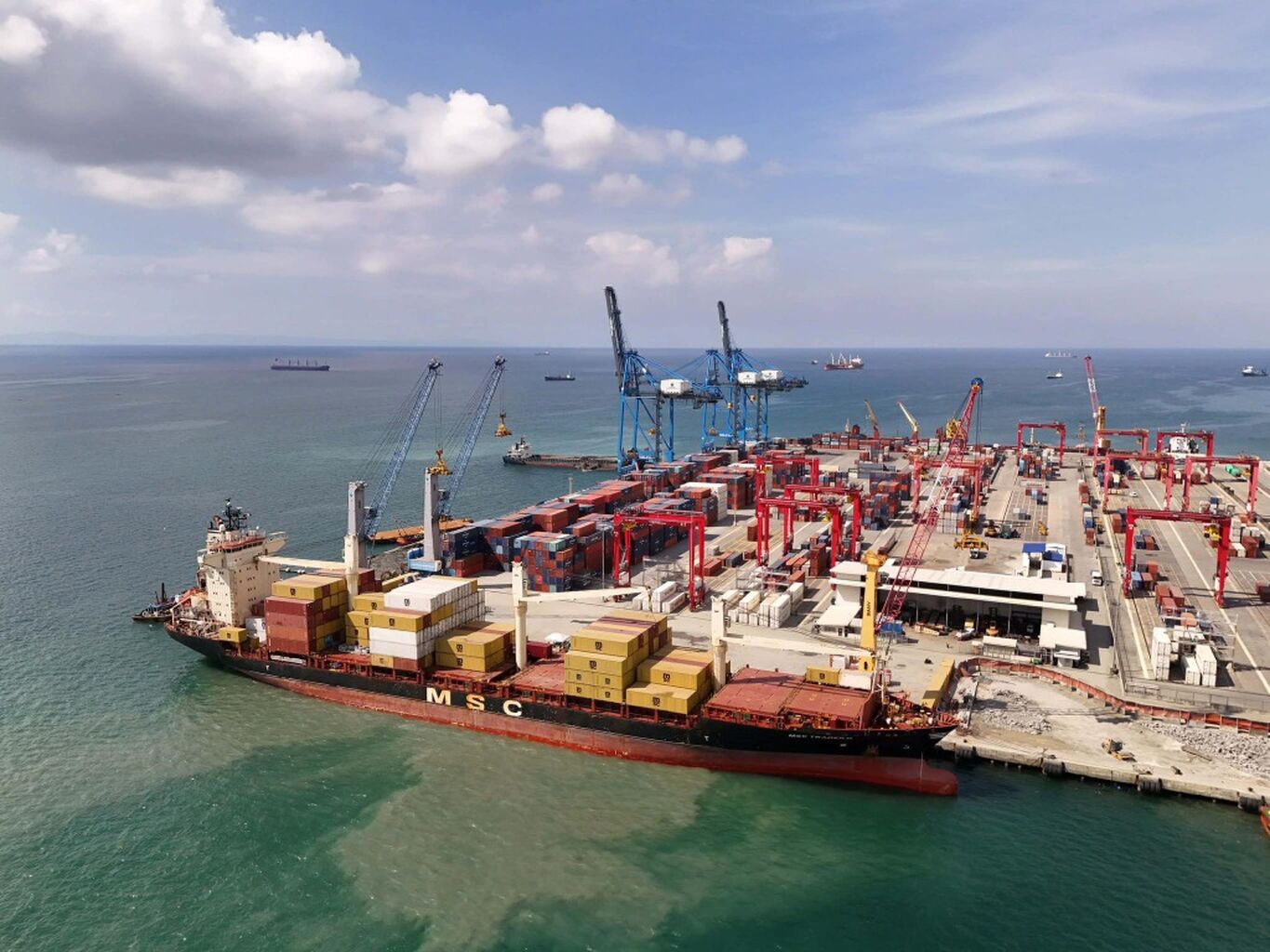 Cebu trade gets lift with MSC route expansion
