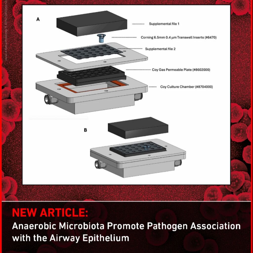 A novel method for aerobic-anaerobic dynamics